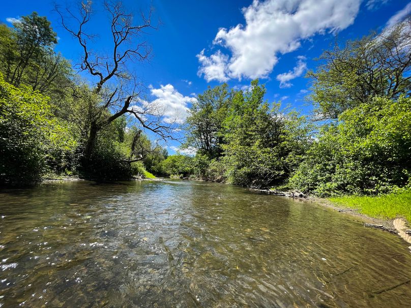 Schuyler_33.10_Ennis_Photos_23