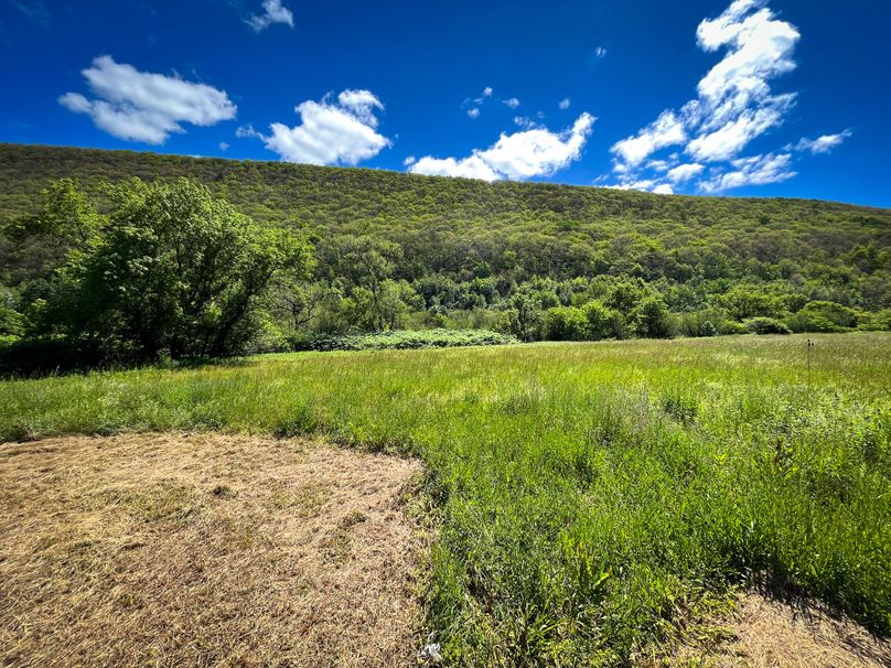 Schuyler_33.10_Ennis_Photos_16