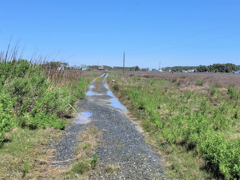 155ac_Crocheron_DORCHESTER_010