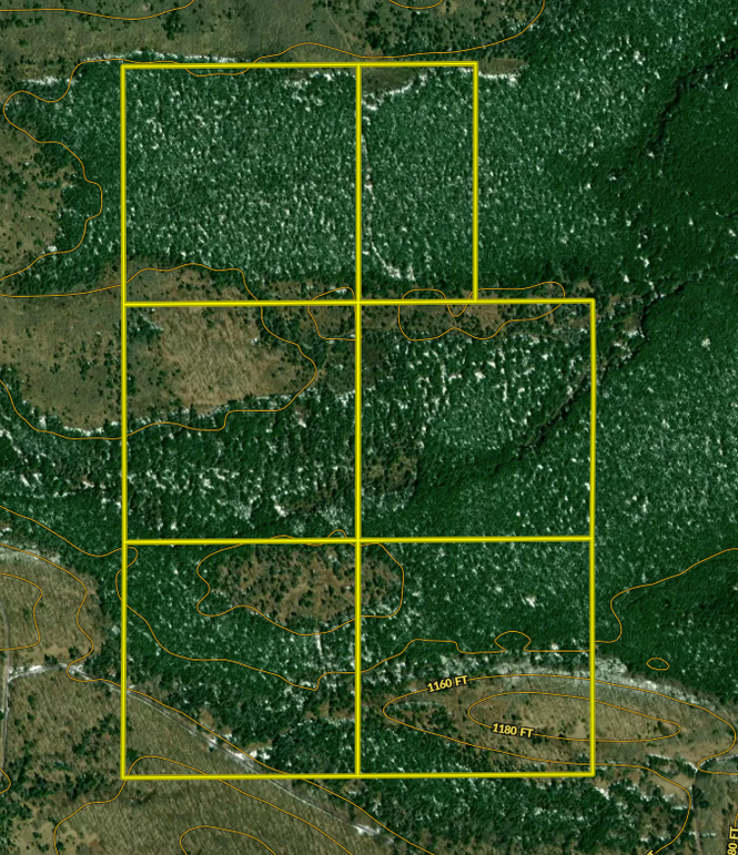 Screen Shot 2022-07-09 at 9.32.28 PM