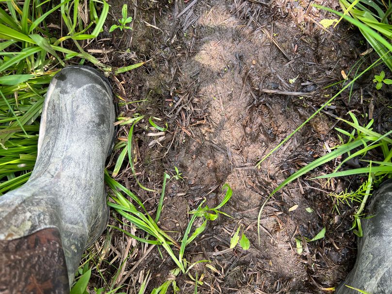 Dickinson_MI_220_Brown-05