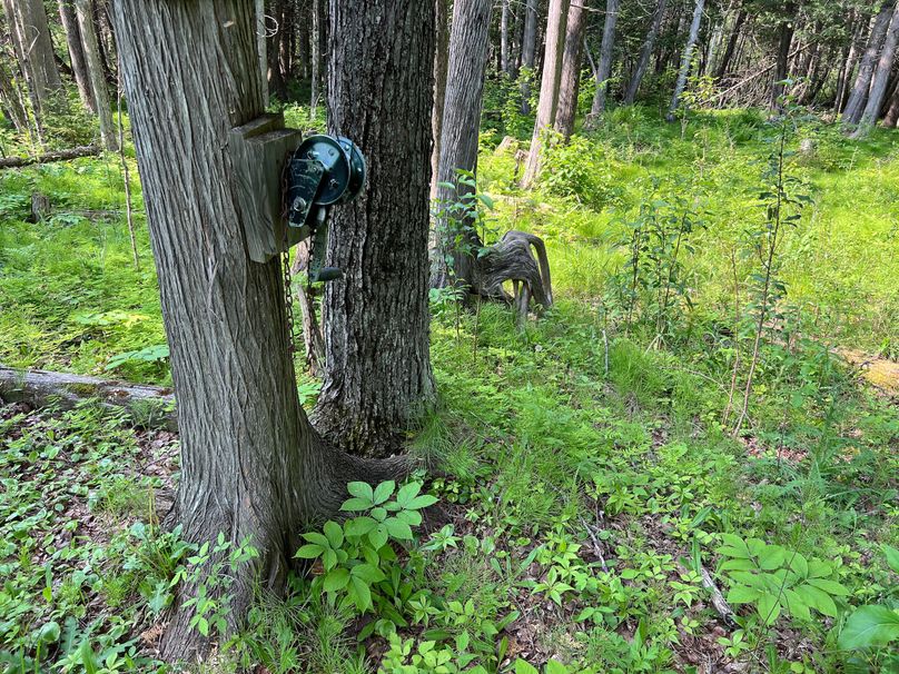 Dickinson_MI_220_Brown-10