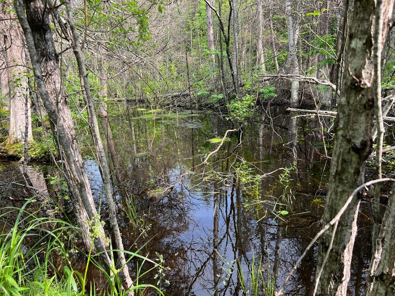 Dickinson_MI_220_Brown-07