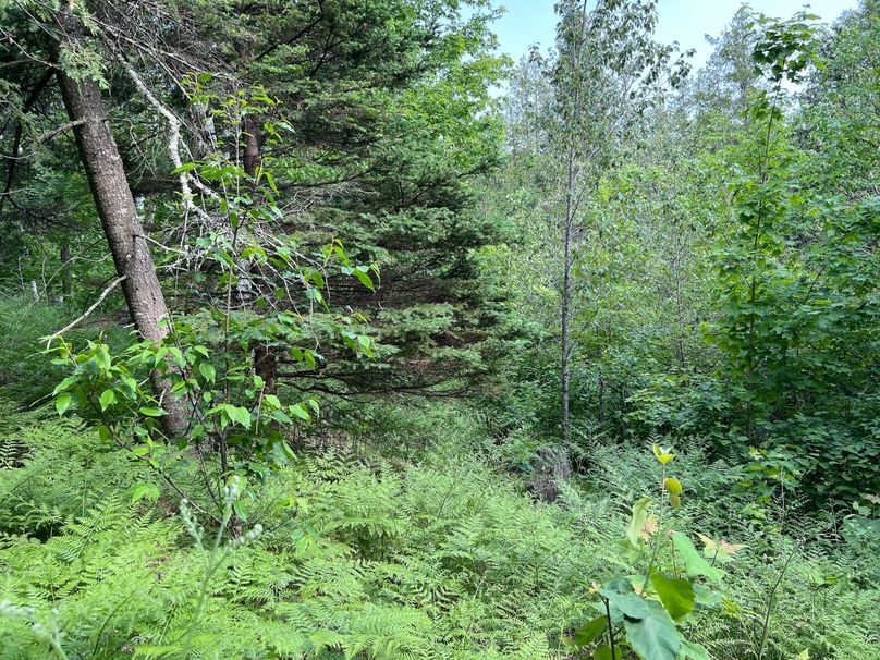 Dickinson_MI_220_Brown-13