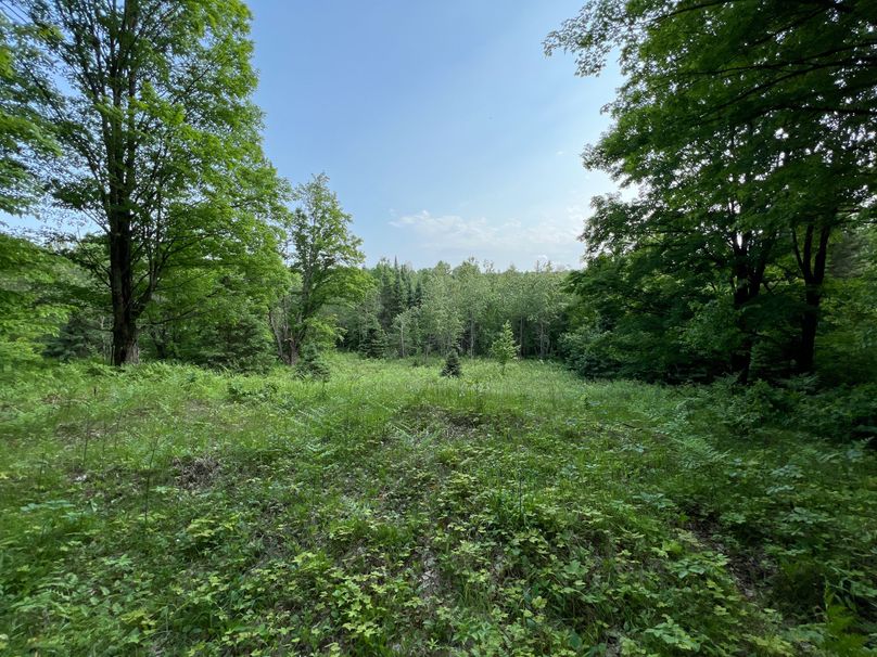 Dickinson_MI_220_Brown-15