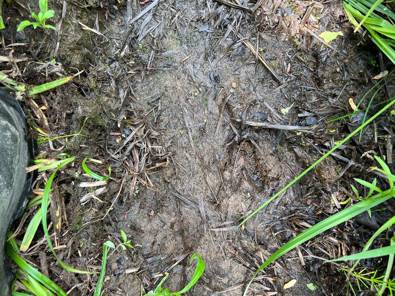 Dickinson_MI_220_Brown-04