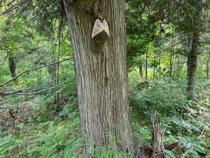 Dickinson_MI_220_Brown-09