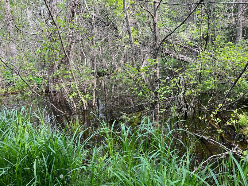 Dickinson_MI_220_Brown-02