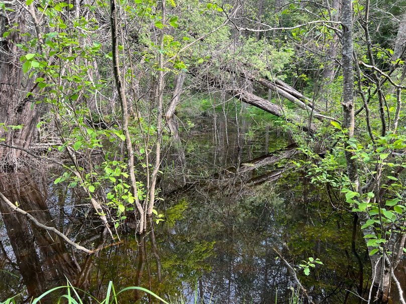 Dickinson_MI_220_Brown-06