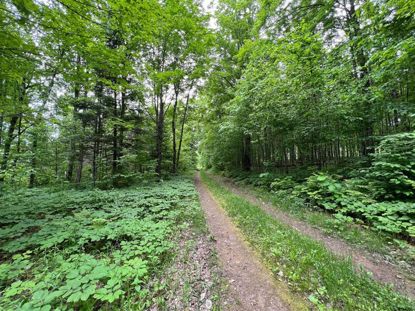 Dickinson_MI_220_Brown-01