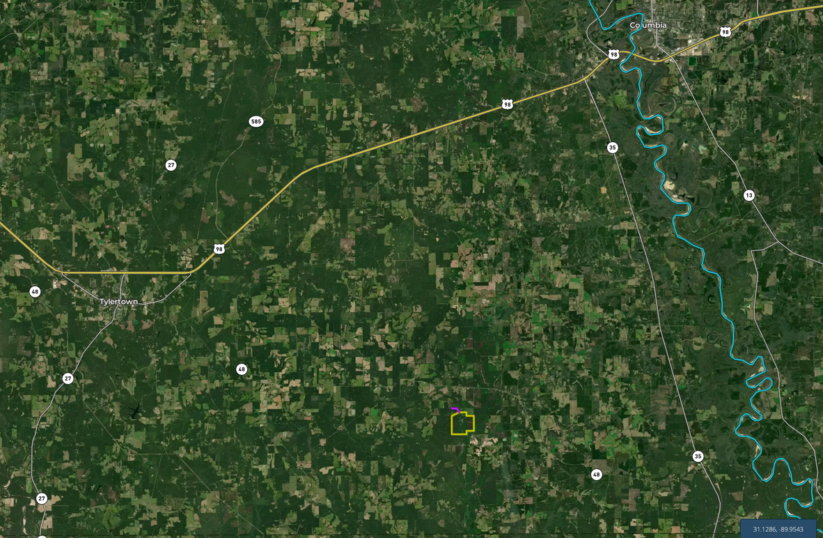 Screen Shot 2022-07-05 at 3.31.13 PM