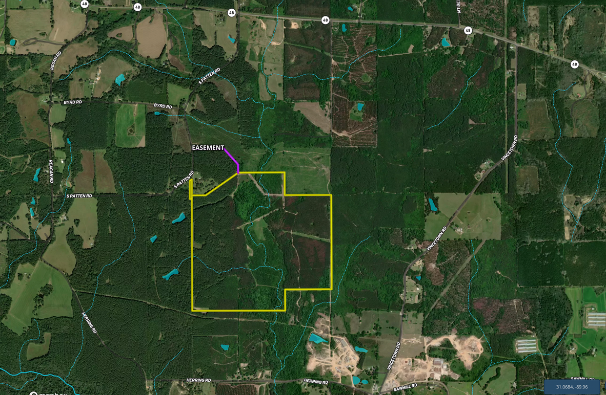 Screen Shot 2022-07-05 at 3.30.23 PM