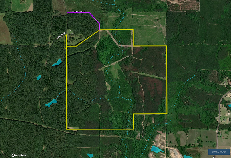 Screen Shot 2022-07-05 at 3.28.03 PM