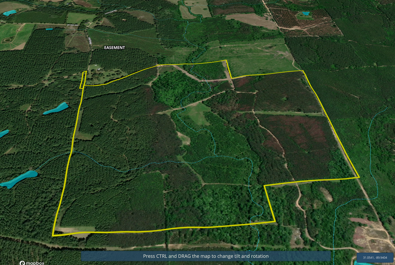 Screen Shot 2022-07-05 at 3.32.22 PM