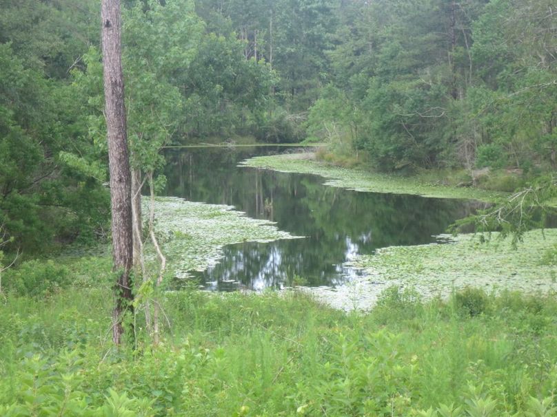 1FAD3670-9E3A-4AD5-9857-CC82B4F56385_1_105_c