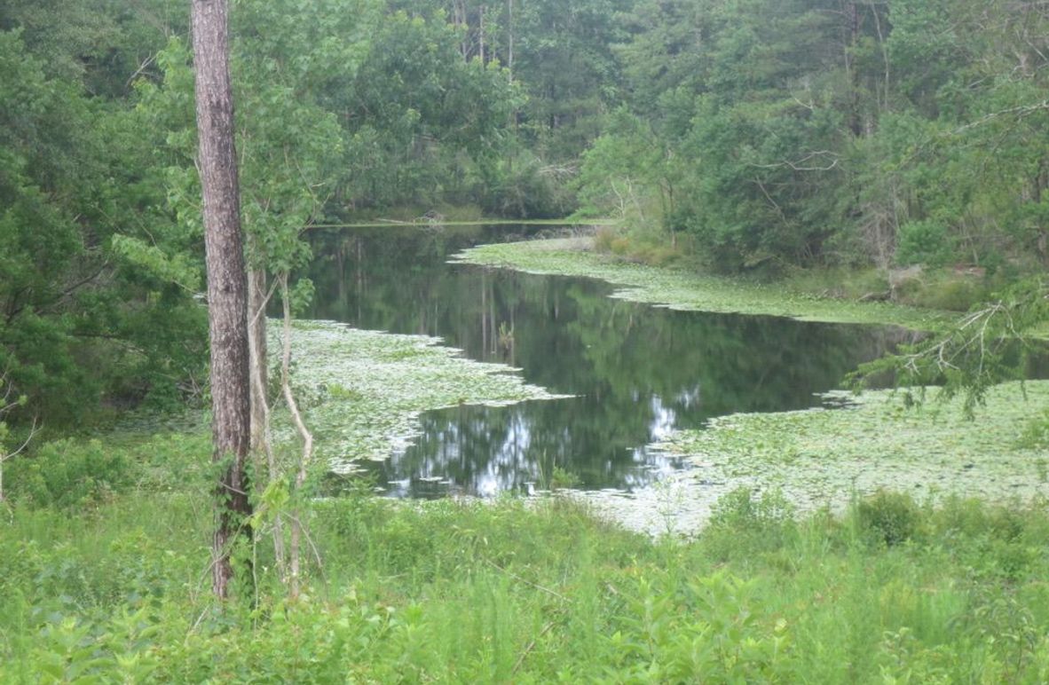 1FAD3670-9E3A-4AD5-9857-CC82B4F56385_1_105_c