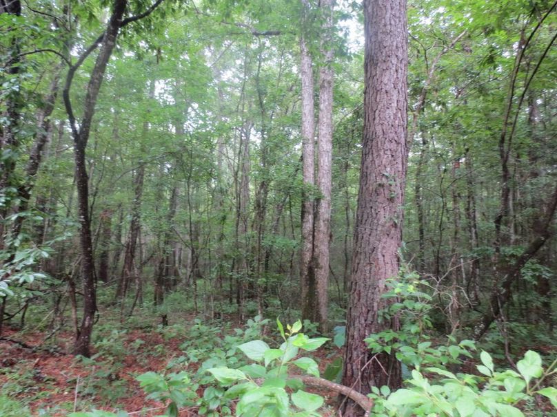 AD9B76C6-A7C9-4F48-A0C6-7E77F29AE201_1_105_c