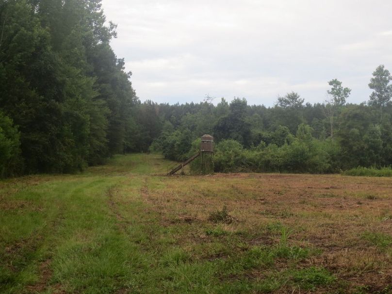 E87D550D-BA19-4FF0-B245-C45EBDA26A1B_1_105_c