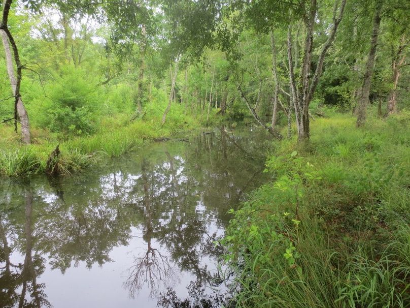 D67CE499-FE13-4C14-BCF0-2395EBFE24CB_1_105_c