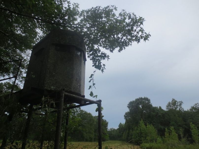 F9DFC483-C619-4BAF-A94A-1C8984F7DC75_1_105_c