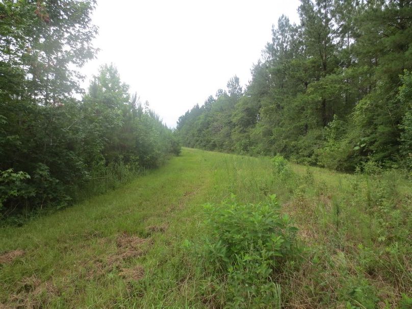 54B7162A-7B7D-4816-BC87-A1FB1D33A920_1_105_c