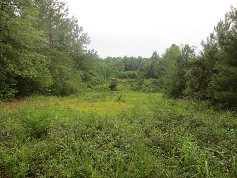 F00F4507-163E-4F49-95B4-172904590378_1_105_c