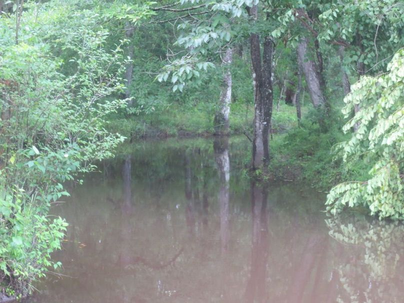 10650596-9626-454A-B4CF-0D7FAE33AC9D_1_105_c