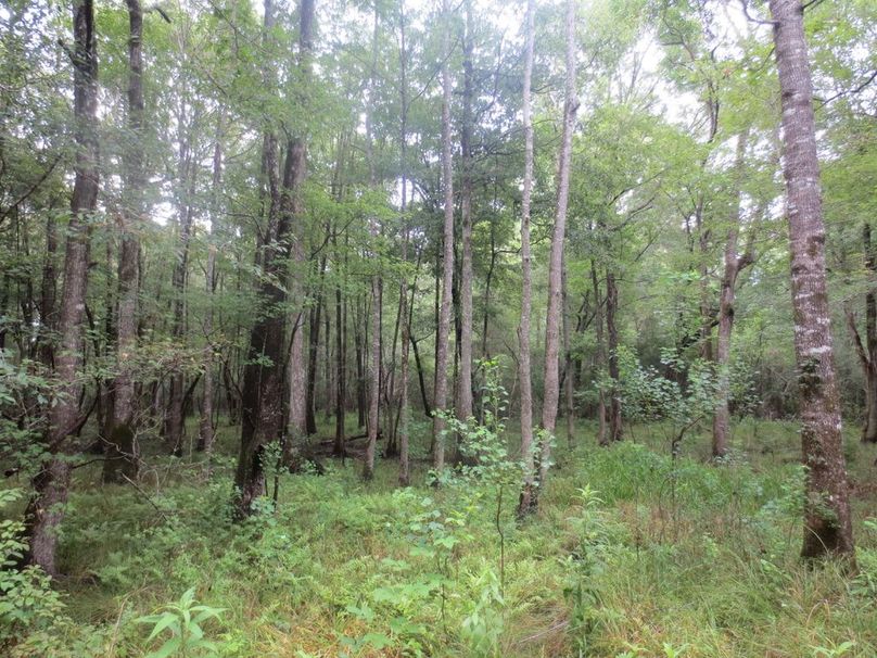 08926FF7-8A28-4FC2-B3EC-7A9BB8CDF8E3_1_105_c