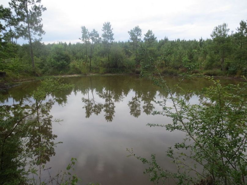 0FE0D93E-4FB8-4417-8167-D881B31C011A_1_105_c