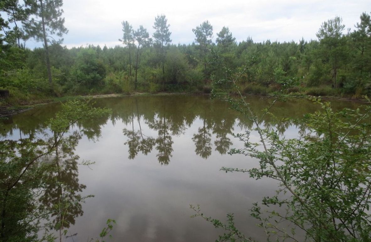 0FE0D93E-4FB8-4417-8167-D881B31C011A_1_105_c