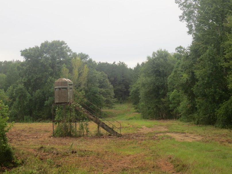 AE4EF5C2-00C5-4DC3-A242-26C3084DCF21_1_105_c