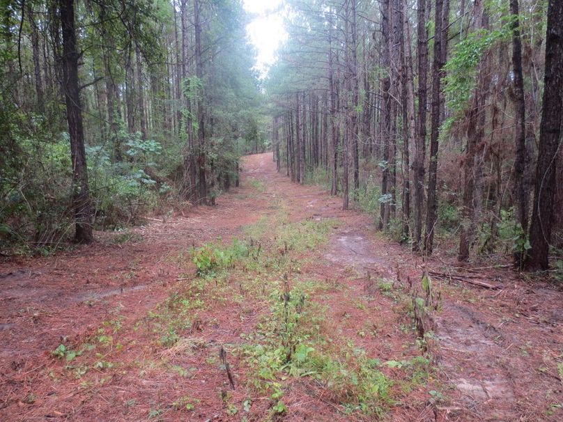 7CD3E283-8908-4955-A8C3-16E2BEE0F1DA_1_105_c