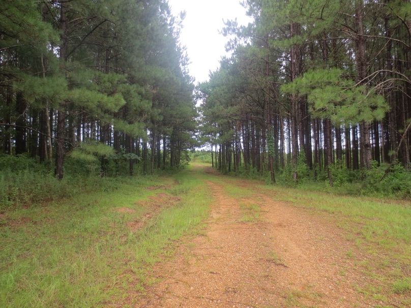 E5FA20BA-55E6-4A0F-8A77-8658E7D2F36E_1_105_c