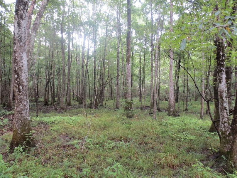 F1F7B40E-BA6E-4DA3-BFB6-A8B69EDB62EC_1_105_c