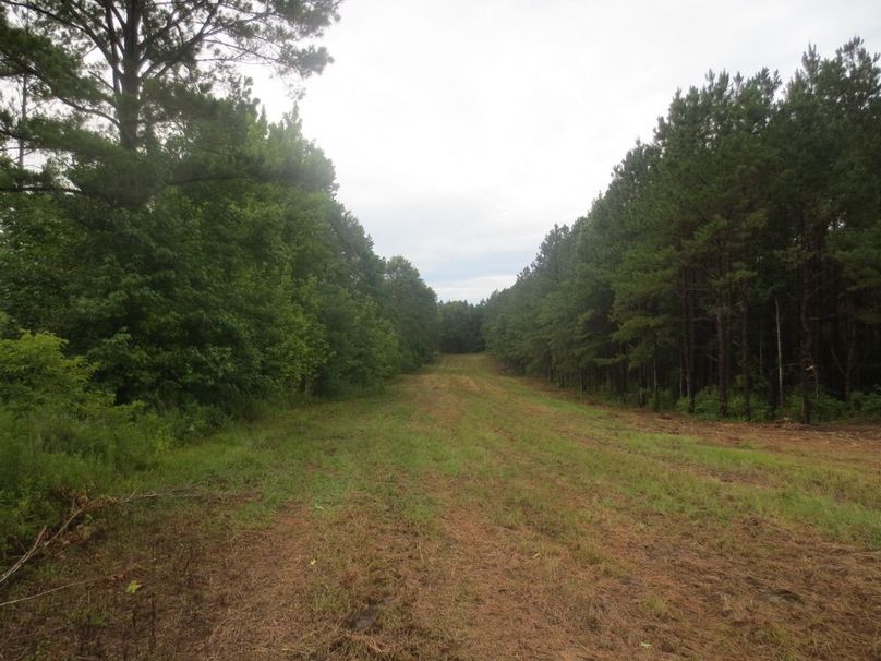 348056D1-F025-496E-A1CF-EBA775B4FD58_1_105_c