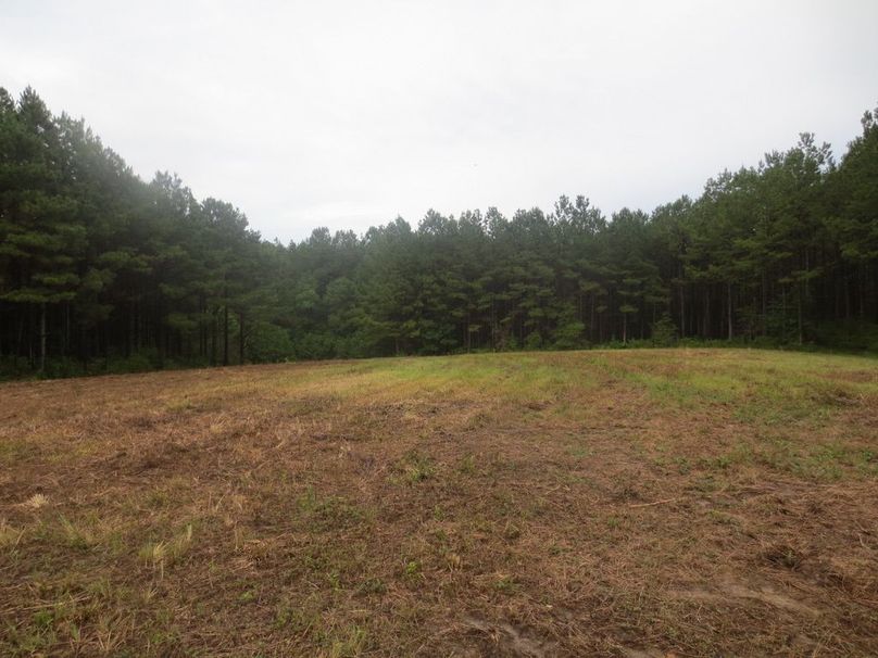 DCC90FA4-EBCA-45A4-81EC-37785ACE69D7_1_105_c