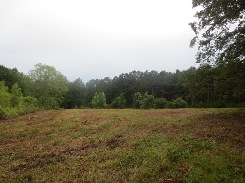 6443032D-117D-4B3D-81AC-1CA7874572AA_1_105_c