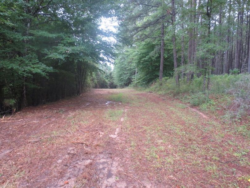 4F38734E-C58D-43F3-9ACE-AC046A364E0D_1_105_c