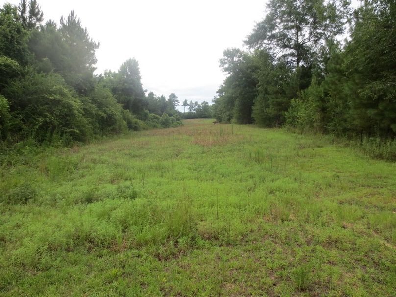 16274216-9A18-4005-A022-7662E9BF65B0_1_105_c