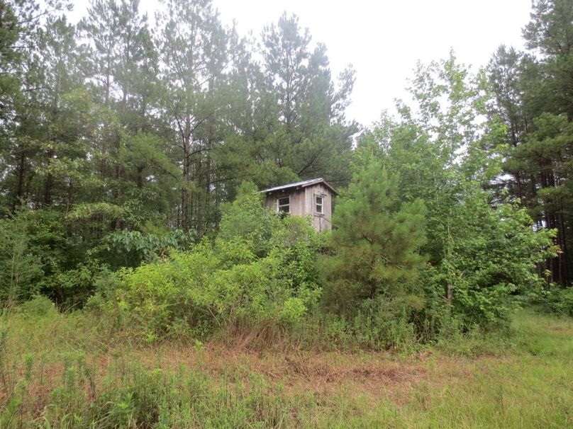 C4464E09-3128-4BC1-92E3-033E44A48C51_1_105_c