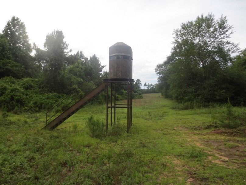 008D99EE-D192-48AD-A511-C71A8E73C68B_1_105_c