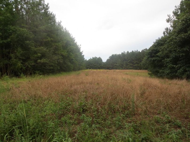 81D717C5-0EB3-486D-AA14-1D97B32340A7_1_105_c