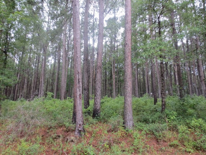 8C9EC751-D41D-413E-BB4F-6B5B5902514D_1_105_c