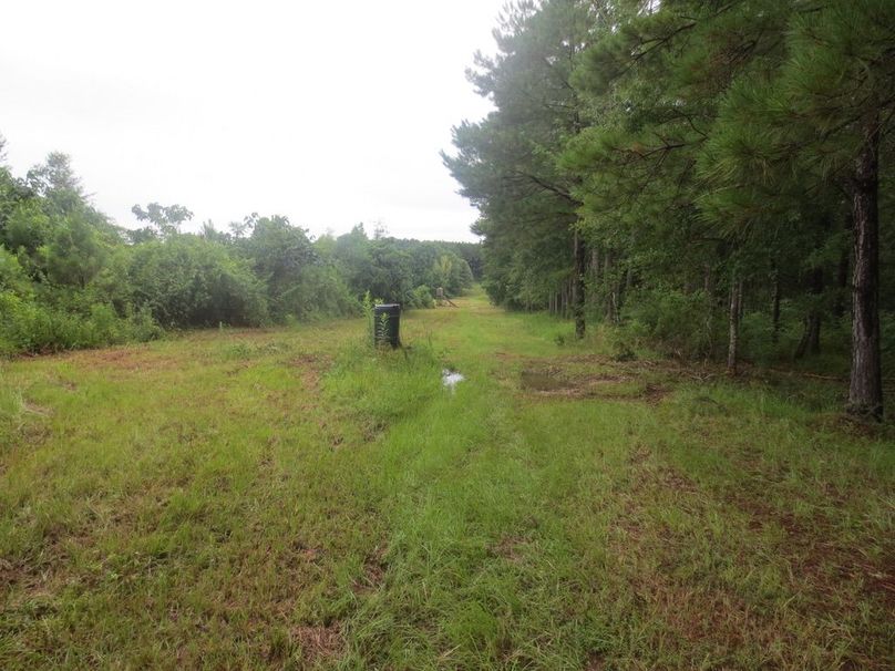 A68DDD79-E9EC-4A2C-A66A-6F3496E1B070_1_105_c