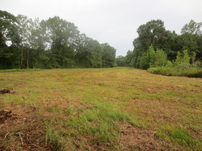 D066A308-B7B8-49DF-8ECA-96D513123A0A_1_105_c