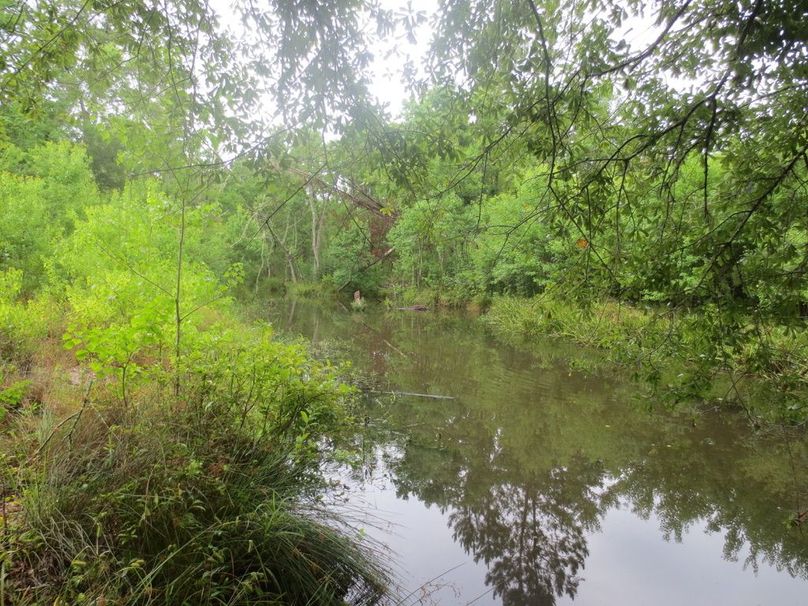 90A27DD3-567E-4EEA-A472-24D2804E8585_1_105_c