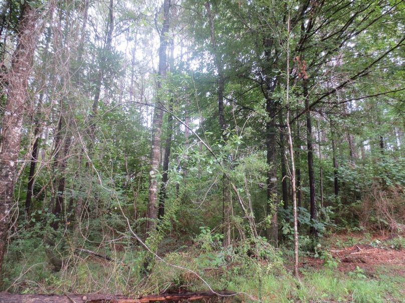 B7BBF3E2-604F-4698-B73D-12B47FE285FC_1_105_c