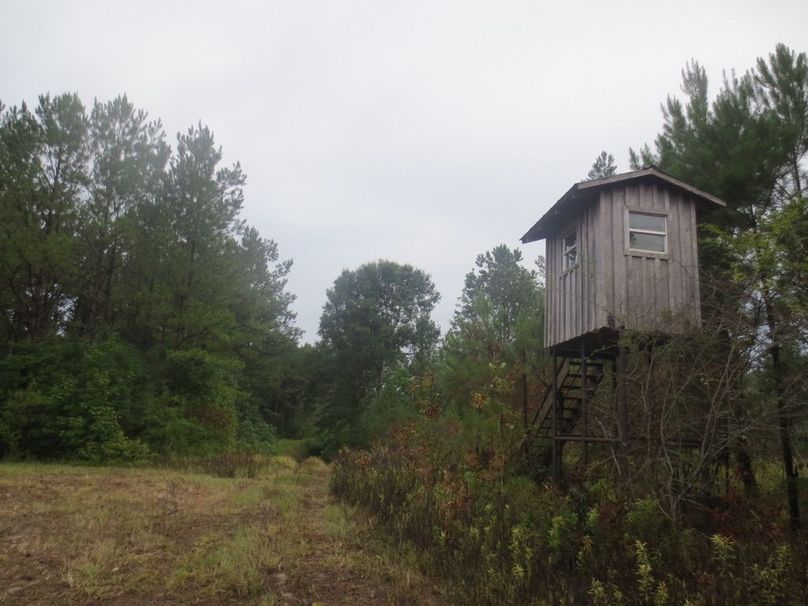 415FAD5E-5F5C-421E-95C4-83113FC85AA5_1_105_c