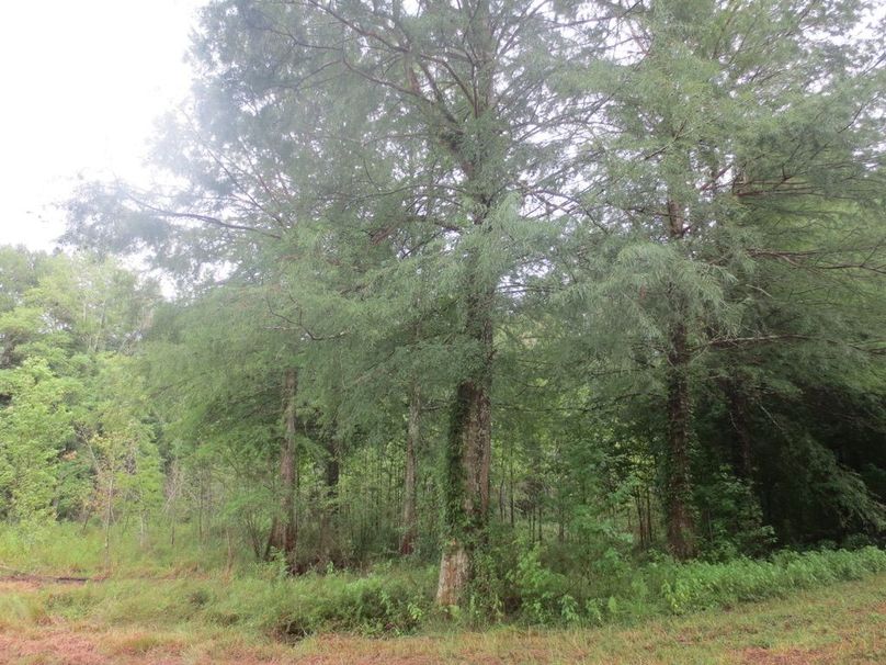 FE754BDE-3BD0-4421-B2F4-430AEACD2AD4_1_105_c