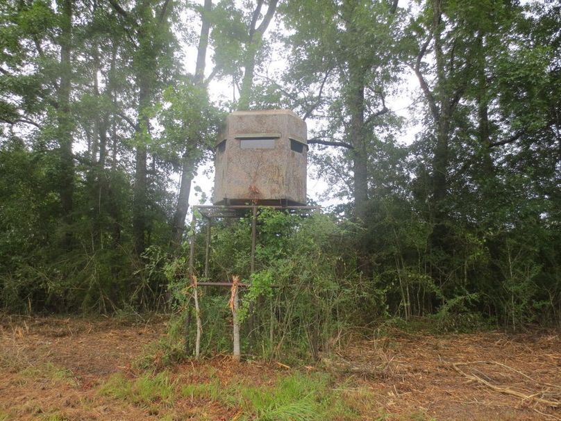 EA10C9AA-FB2A-4C0B-B761-97EB889F9F63_1_105_c